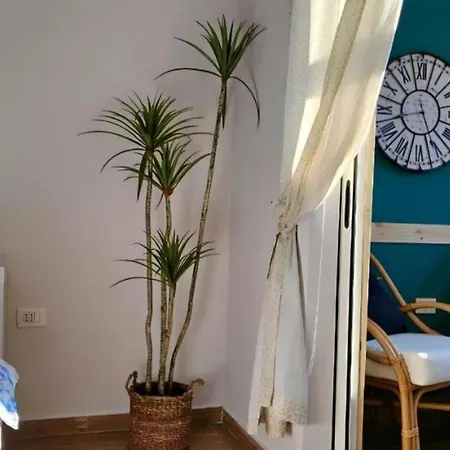 Nuci's Place Apartament