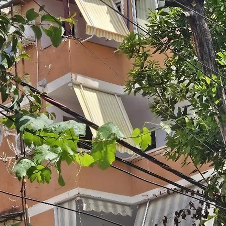 Nuci's Place Apartment