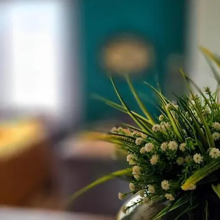 Nuçi's Place * Tiran