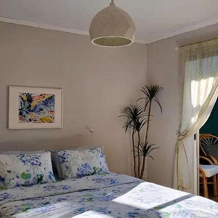 Nuci's Place