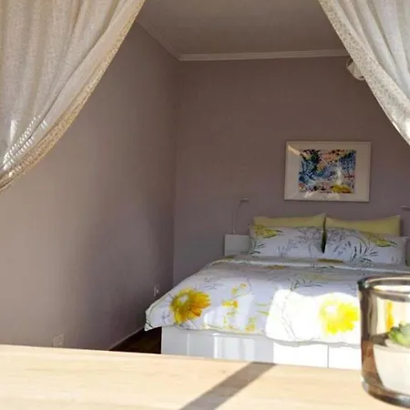 Nuci's Place