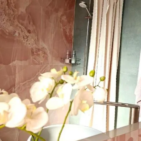 Nuci's Place Apartment