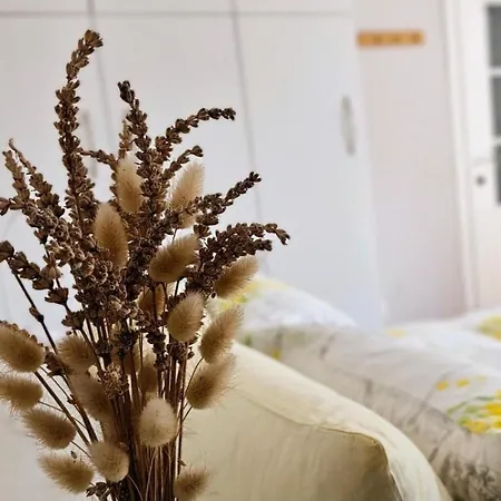 Nuçi's Place * Tiran