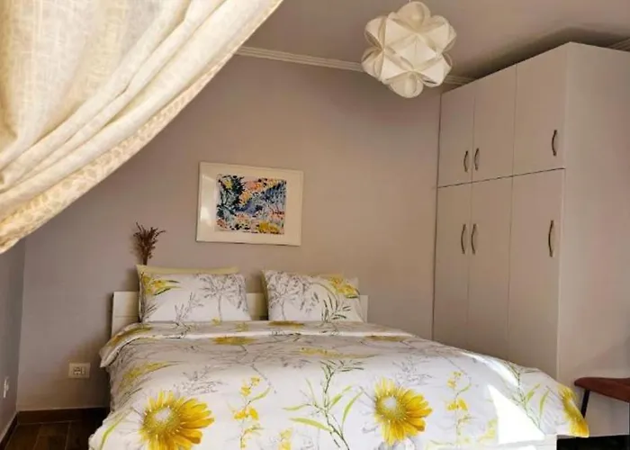 Nuci's Place - The Signature Collection