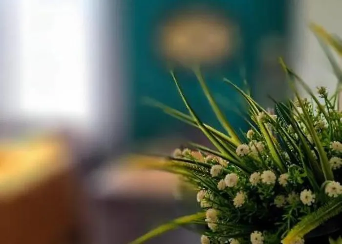 Nuci's Place - The Signature Collection * Tirana