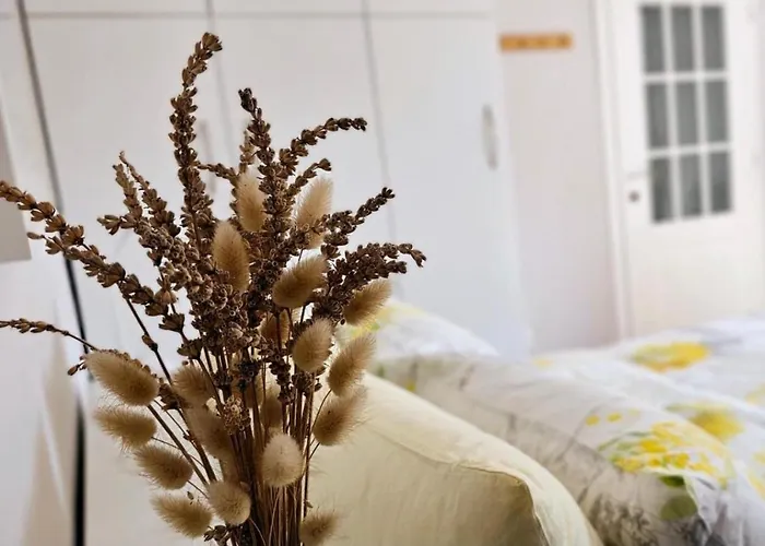 Nuci's Place - The Signature Collection * ティラナ